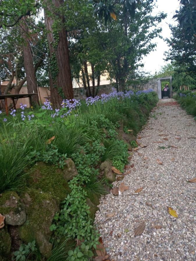 B&B Villa Gualterio Bolsena Exterior photo